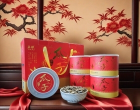 原味瓜子紅色包裝5罐裝