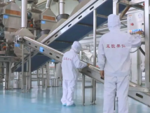 2025年的第一個月，承德亞歐果仁有限公司在山杏產(chǎn)業(yè)的道路上持續(xù)奮進，展現(xiàn)出蓬勃的發(fā)展活力。